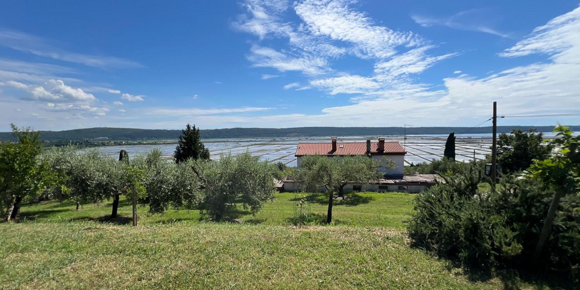 Blue Horizon Apartments Seca Portorož Zewnętrze zdjęcie