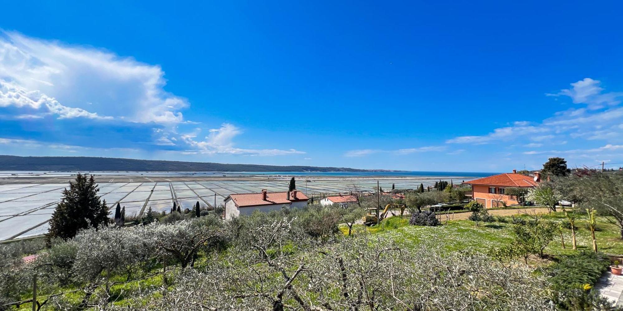Blue Horizon Apartments Seca Portorož Zewnętrze zdjęcie